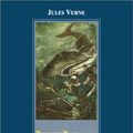 Cover Art for 9783895084621, Twenty Thousand Leagues Under the Sea by Jules Verne