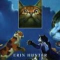 Cover Art for 9780061375033, Warriors by Erin W. Hunter