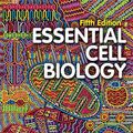 Cover Art for 9780393680379, Essential Cell Biology by Bruce Alberts