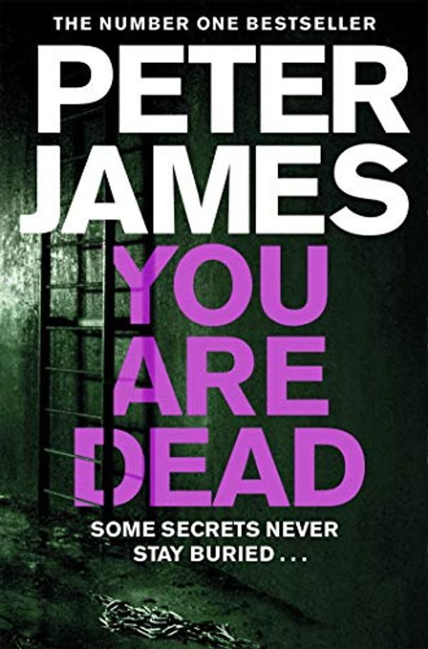 Cover Art for B00SN935ZM, You Are Dead (Roy Grace series Book 11) by Peter James