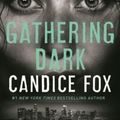 Cover Art for 9781250317629, Gathering Dark by Candice Fox