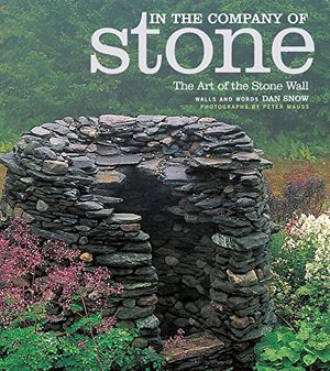 Cover Art for 9781579653477, In the Company of Stone by Dan Snow