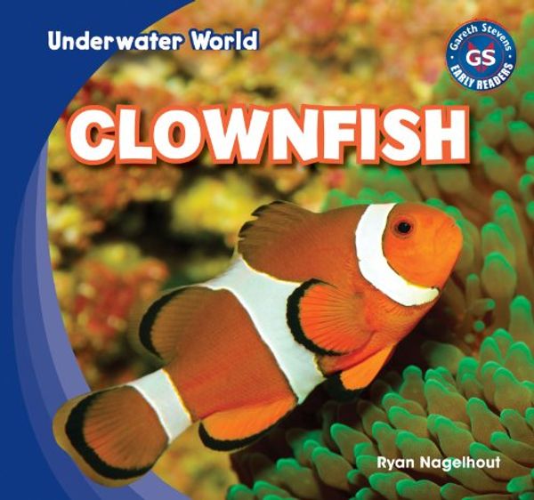 Cover Art for 9781433985638, Clownfish by Ryan Nagelhout