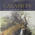Cover Art for 9781570980343, This Great Calamity: The Irish Famine 1845-52 by Christine Kinealy