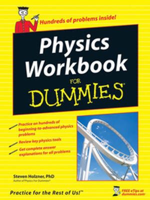 Cover Art for 9780470169094, Physics Workbook For Dummies by Steve Holzner