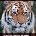 Cover Art for 9781118629352, An Studying Captive Animals: A Workbook of Methods in Behaviour, Welfare and Ecology by Paul A. Rees