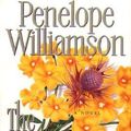 Cover Art for 9780684807591, The Outsider by Penelope Williamson