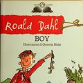 Cover Art for 9788877826466, Boy by Roald Dahl