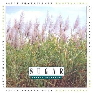 Cover Art for 9781583411902, Sugar by Sheryl Peterson