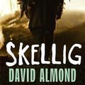Cover Art for 9780340997048, Skellig by David Almond