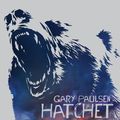 Cover Art for 9781509838790, Hatchet by Gary Paulsen