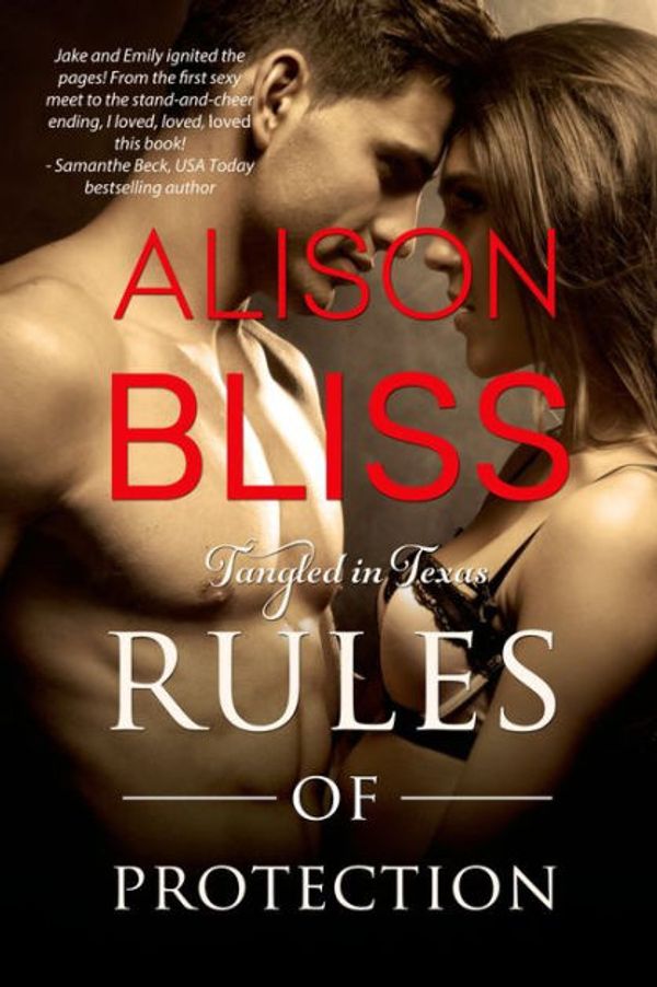 Cover Art for 9781500885717, Rules of Protection by Alison Bliss