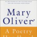 Cover Art for 9780547543901, A Poetry Handbook by Mary Oliver