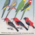 Cover Art for 9780727020857, The Slater Field Guide to Australian Birds by Peter Slater