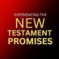 Cover Art for 9798372951686, Experiencing the New Testament Promises: How to Claim Your Blessings and Benefits in Christ by Goodman, George  C.