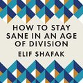 Cover Art for B087N8XPYT, How to Stay Sane in an Age of Division by Elif Shafak