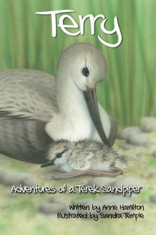 Cover Art for 9781921633300, Terry Adventures of a Terek Sandpiper by Anne Hamilton
