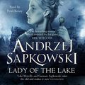 Cover Art for B01N04Z7WD, Lady of the Lake by Andrzej Sapkowski, David French-Translator