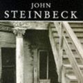 Cover Art for 9780749398880, The Short Novels by John Steinbeck