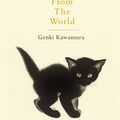 Cover Art for 9781509889174, If Cats Disappeared from the World by Eric Selland