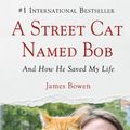 Cover Art for 9781410462305, A Street Cat Named Bob by James Bowen