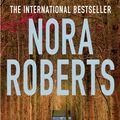 Cover Art for 9780749958626, Shadow Spell by Nora Roberts