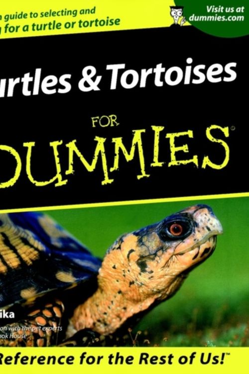 Cover Art for 9780764553134, Turtles & Tortoises for Dummies. by Liz Palika