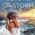 Cover Art for 9781488057472, Before the Storm by Diane Chamberlain