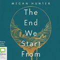 Cover Art for 9781509877386, The End We Start From by Megan Hunter