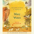 Cover Art for B00NPB7WWU, Many Waters by Madeleine L'Engle