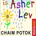 Cover Art for 9780795328589, My Name Is Asher Lev by Chaim Potok