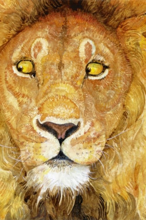 Cover Art for 9781406332049, The Lion and the Mouse by Jerry Pinkney