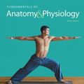 Cover Art for 9780321909077, Fundamentals of Anatomy & Physiology by Frederic H. Martini, Judi L. Nath, Edwin F. Bartholomew