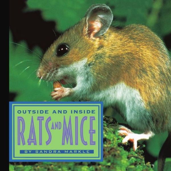 Cover Art for 9781416975717, Outside and Inside Rats and Mice by Sandra Markle