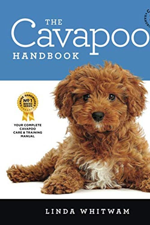 Cover Art for 9781090854810, The Cavapoo Handbook: The Essential Guide for New & Prospective Cavapoo Owners (Canine Handbooks) by Linda Whitwam