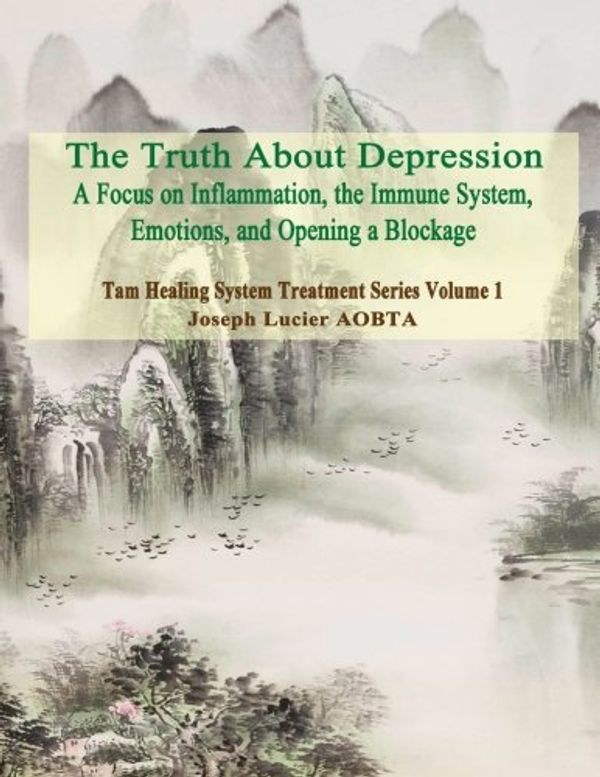Cover Art for 9781507710265, The Truth about DepressionReturn to Balance - Focus on Inflammation, the ... by Joseph Lucier