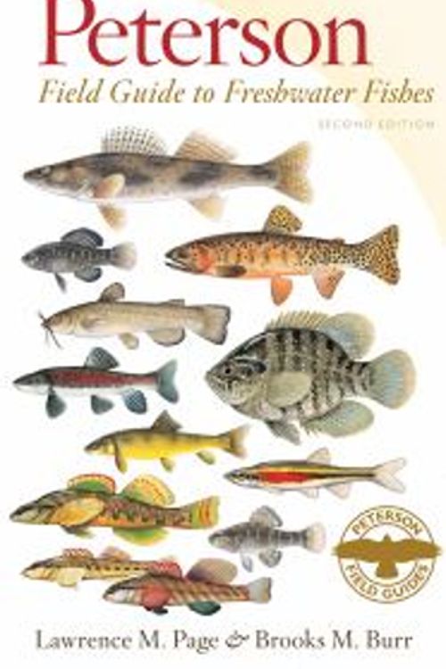 Cover Art for 9780547242064, Peterson Field Guide to Freshwater Fishes of North America North of Mexico by Lawrence M. Page