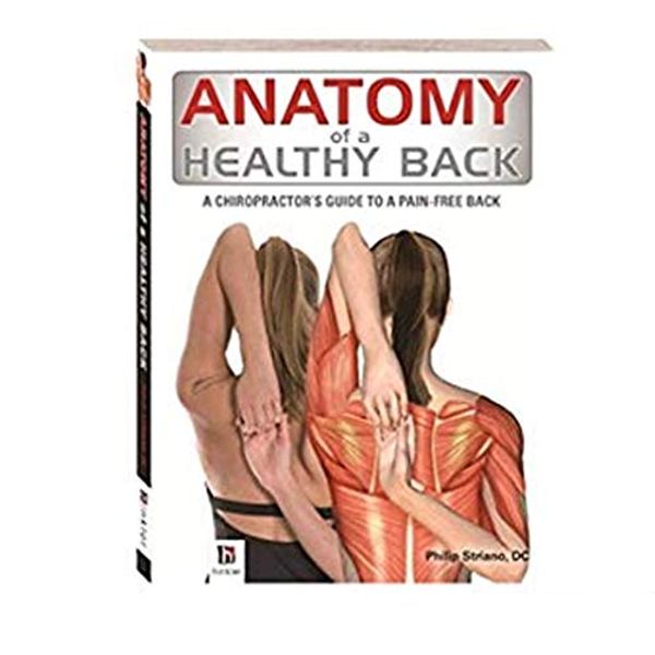 Cover Art for 9317819575287, anatomy of a healthy back, by Philip Striano