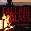 Cover Art for 9781846687839, Falling Glass by Adrian McKinty