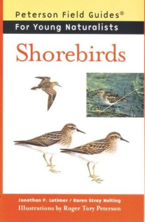 Cover Art for 9780395952122, Shorebirds by Jonathan P. Latimer, Karen Stray Nolting