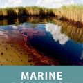 Cover Art for 9780199996698, Marine Pollution: What Everyone Needs to Know by Weis