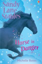 Cover Art for 9781409505174, Horse in Danger by Michelle Bates