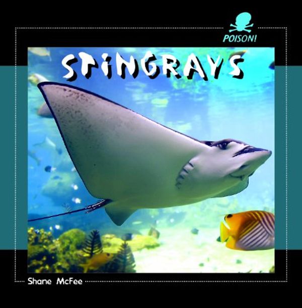 Cover Art for 9781404237971, Stingrays by Shane McFee