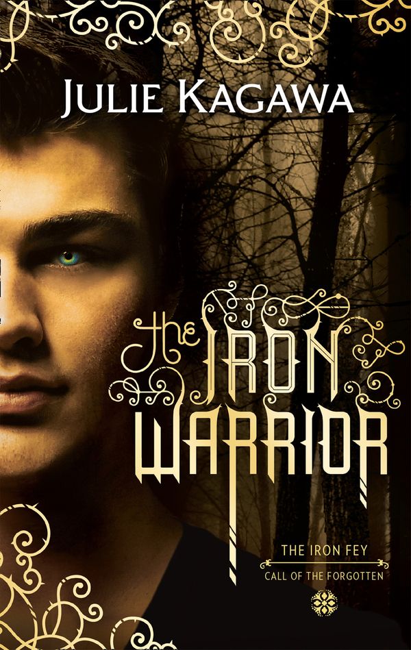 Cover Art for 9781848454088, The Iron Warrior (The Iron Fey) by Julie Kagawa