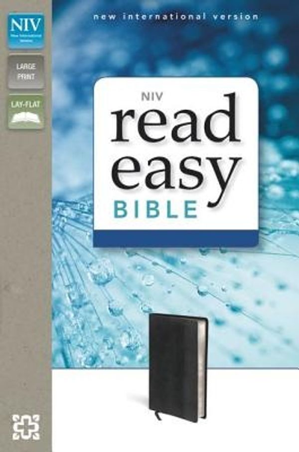Cover Art for 9780310423065, Read Easy Bible-NIV by Zondervan