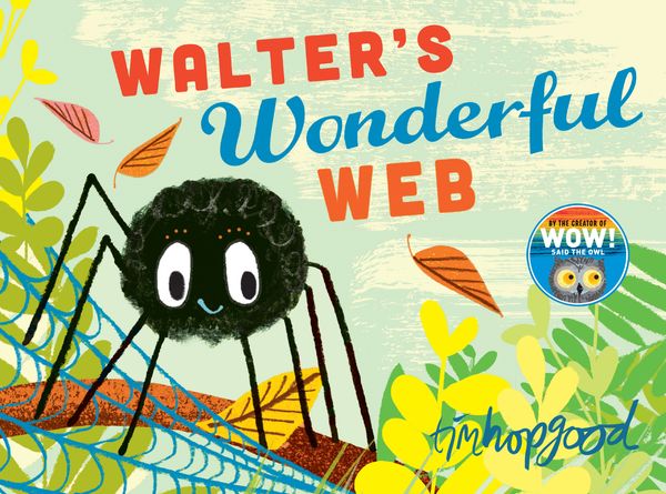 Cover Art for 9781509830213, Walter's Wonderful Web by Tim Hopgood