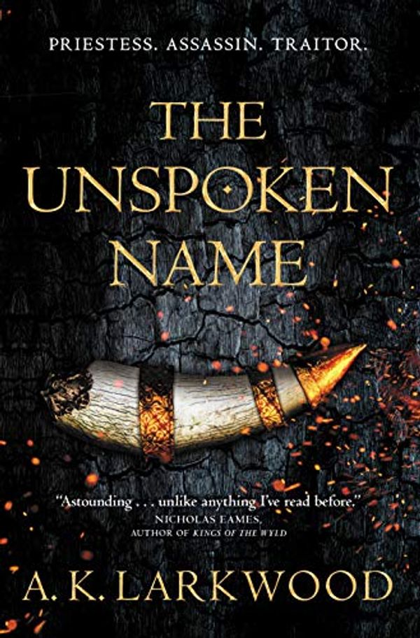 Cover Art for 9781250762542, The Unspoken Name by A K. Larkwood