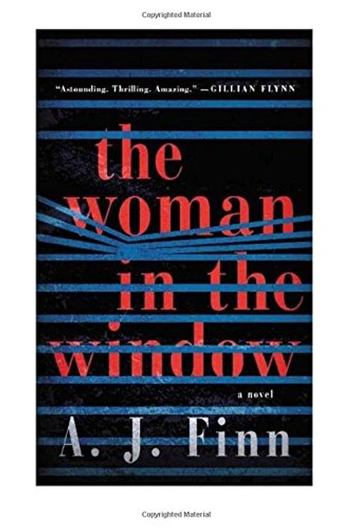 Cover Art for 9781718849419, The Woman in the Window: The Woman in the Window by A. J. Finn