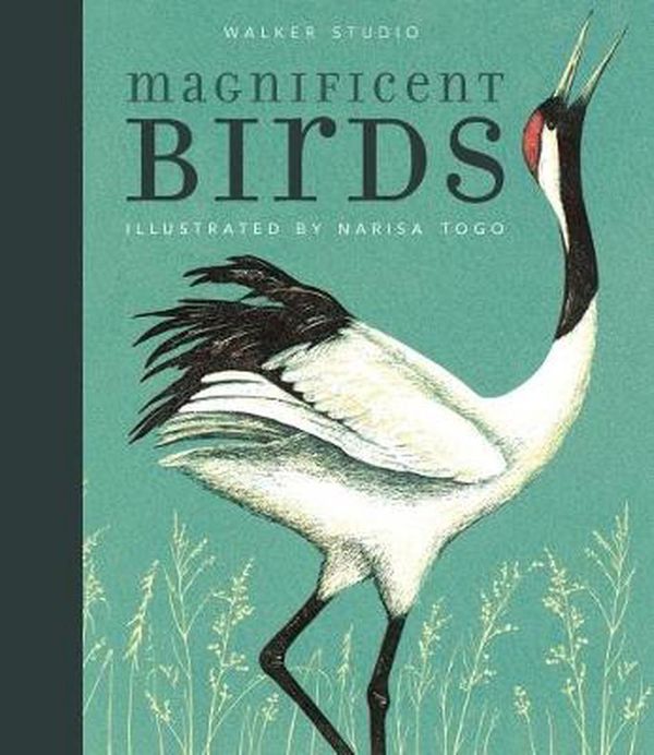 Cover Art for 9781406380316, Magnificent Birds by Narisa Togo