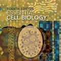 Cover Art for 9780815344551, Essential Cell Biology by Bruce Alberts